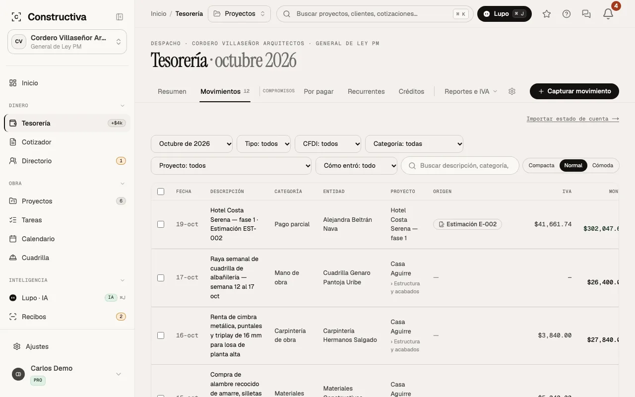 Lista de movimientos de Tesorería de un mes: ingresos y egresos con su categoría, su proyecto y su monto.